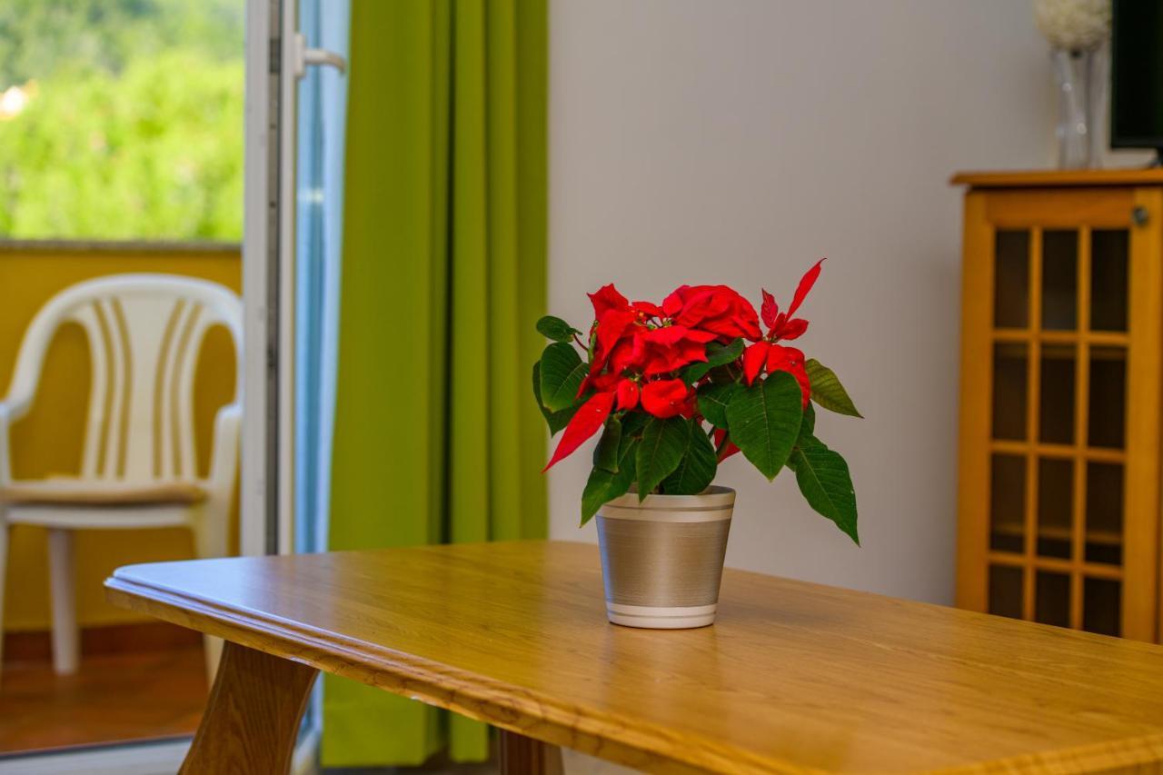Apartment Chiara Martinscica Luaran gambar